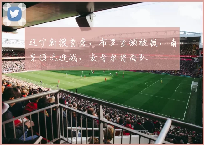 辽宁新援首秀，布罗金顿被裁，南京顶流迎战，麦考尔将离队