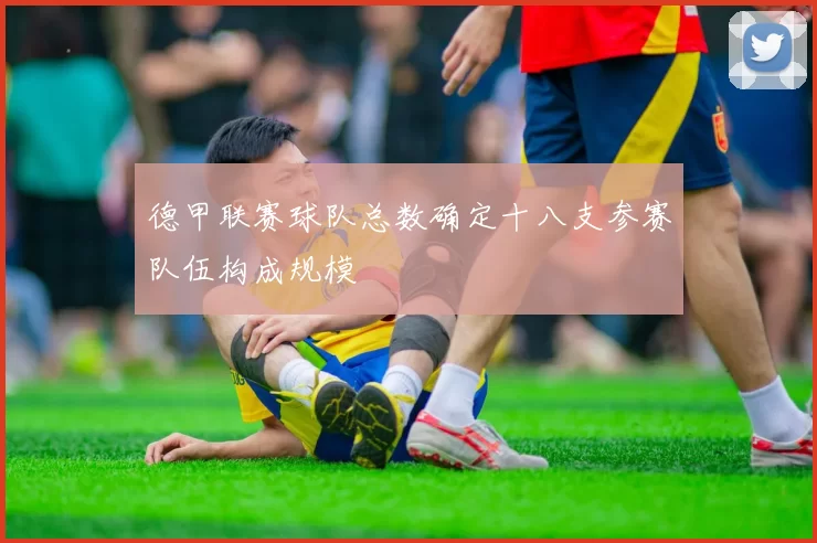 德甲联赛球队总数确定十八支参赛队伍构成规模