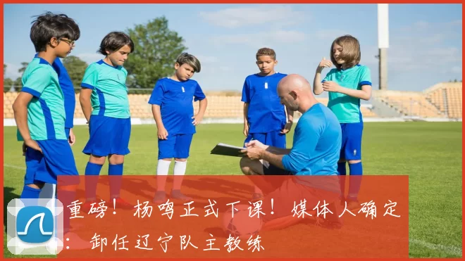 重磅!杨鸣正式下课!媒体人确定:卸任辽宁队主教练