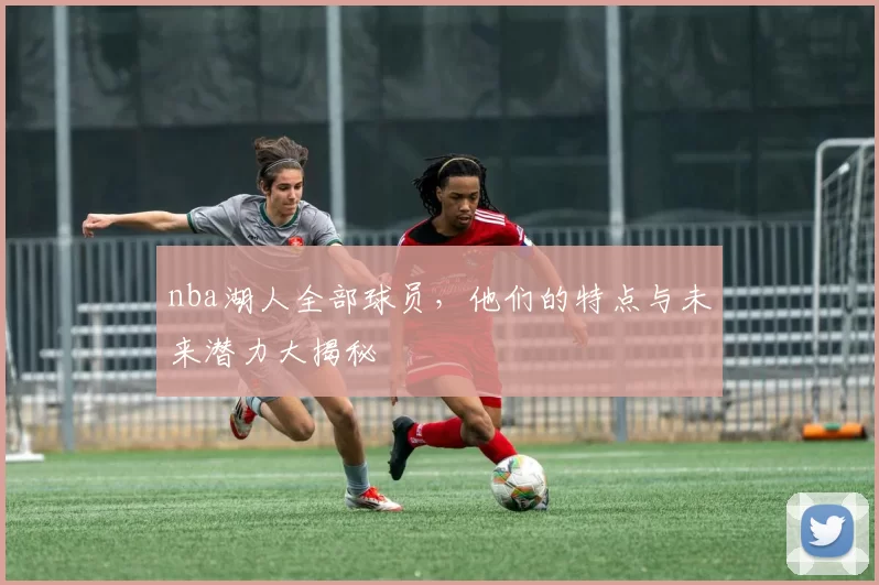 nba湖人全部球员，他们的特点与未来潜力大揭秘