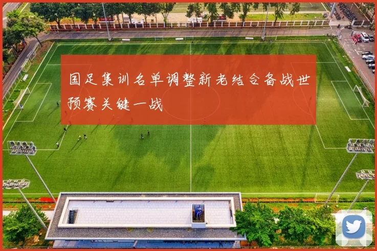 国足集训名单调整新老结合备战世预赛关键一战