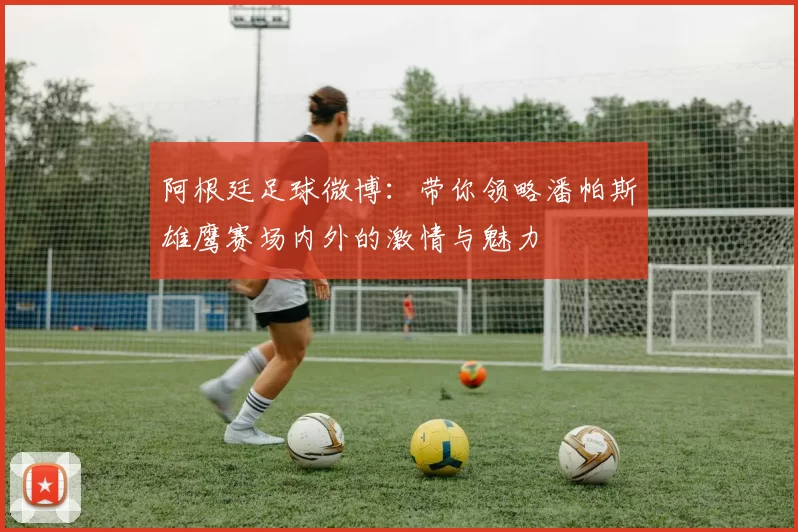 阿根廷足球微博：带你领略潘帕斯雄鹰赛场内外的激情与魅力