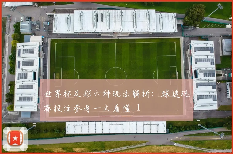 世界杯足彩六种玩法解析:球迷观赛投注参考一文看懂_1