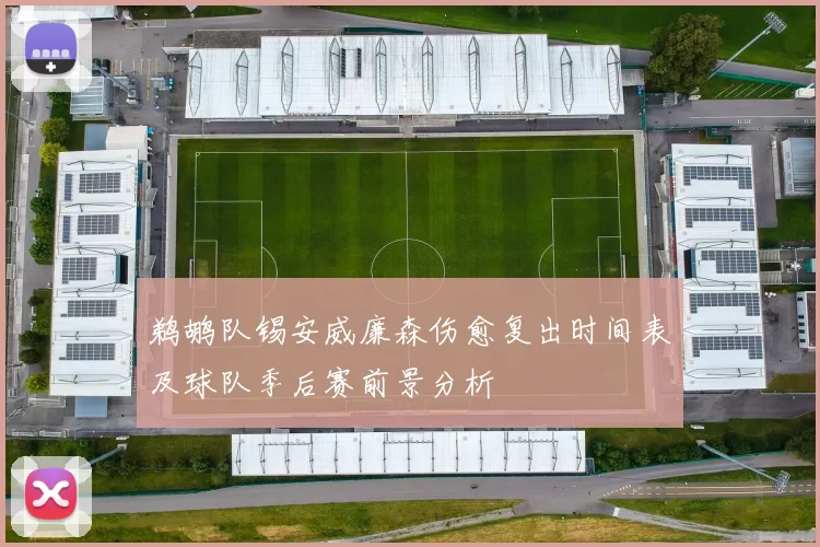 鹈鹕队锡安威廉森伤愈复出时间表及球队季后赛前景分析