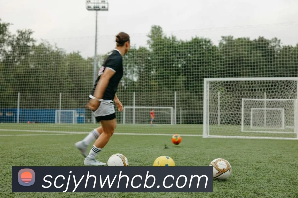 开云(中国)Kaiyun·官方网站 - 登录入口APP 高清赛事图