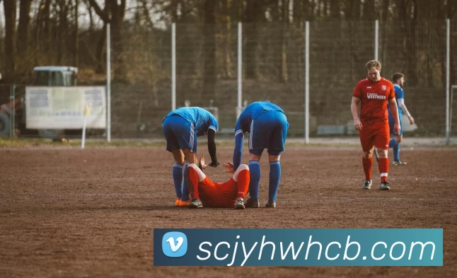 开云(中国)Kaiyun·官方网站 - 登录入口APP 封面图