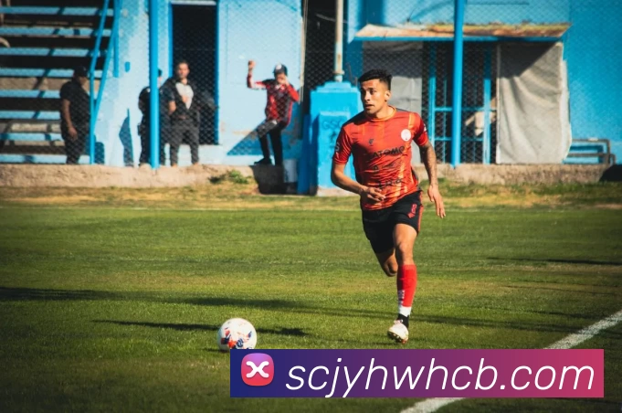 数据防护可视化